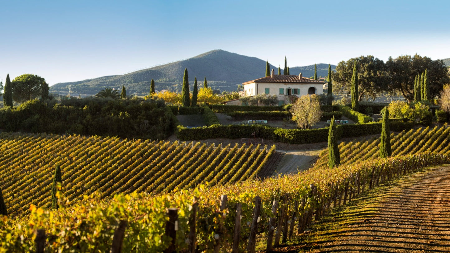 Caiarossa - "Caiarosso" Toscana Rosso IGT 2019