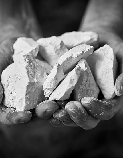 Vve Fourny & Fils Blanc de Blancs Vertus Extra Brut Champagne Premier Cru