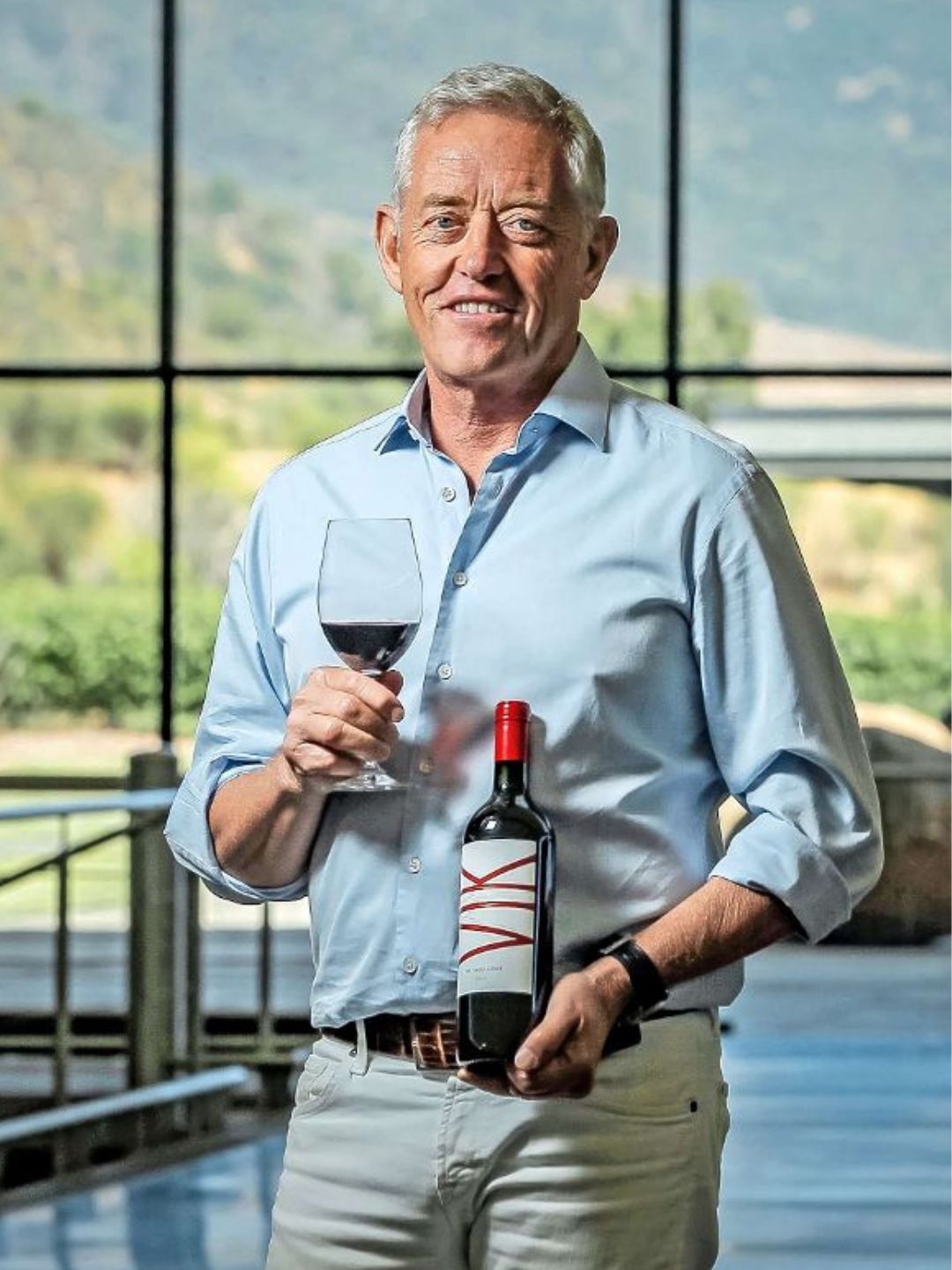 Viña Vik Winery Omega Carménère 2022
