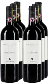 Tolaini Vallenuova Chianti Classico DOCG 2020