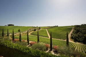 Tolaini Al Passo Toscana 2020