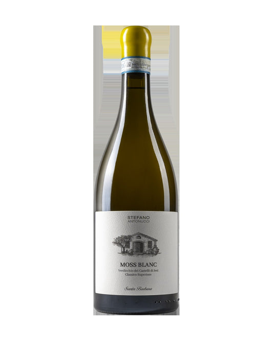 Fles Stefano Antonucci Moss Blanc Verdicchio 2022 — VINIO