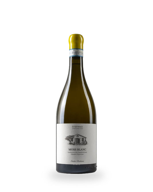 Azienda Santa Barbara - Stefano Antonucci Moss Blanc Verdicchio Castelli di Jesi Classico Superiore DOC 2021