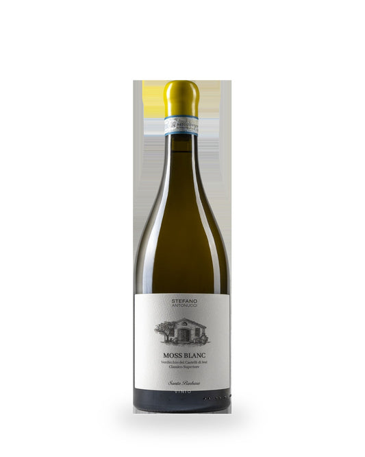 Azienda Santa Barbara - Stefano Antonucci Moss Blanc Verdicchio Castelli di Jesi Classico Superiore DOC 2022