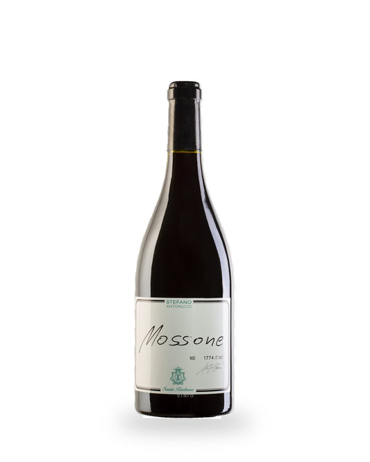 Azienda Santa Barbara - Stefano Antonucci Mossone 2021