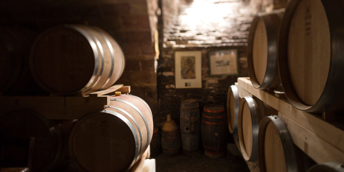 Azienda Santa Barbara - Stefano Antonucci Verdicchio Dei Castelli Di Jesi Classico Superiore DOCG 2022