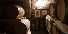 Afbeelding in Gallery-weergave laden, Azienda Santa Barbara - Stefano Antonucci Moss Blanc Verdicchio Castelli di Jesi Classico Superiore DOC 2021