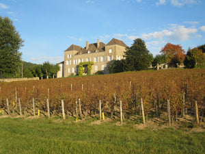 Château de la Greffière Mâcon La Roche Vineuse Les Ronzettes 2021