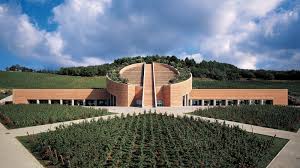 Petra Belvento Sireno Toscana 2020 Petra (I Vini del Mare)