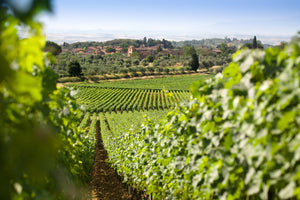 Tolaini Al Passo Toscana 2020