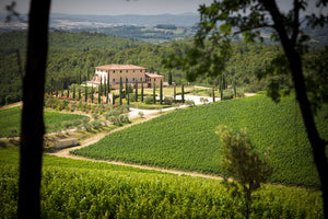 Tolaini Al Passo Toscana 2020