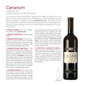 Brunelli - Veneto  Carianum Garganega IGT 2021