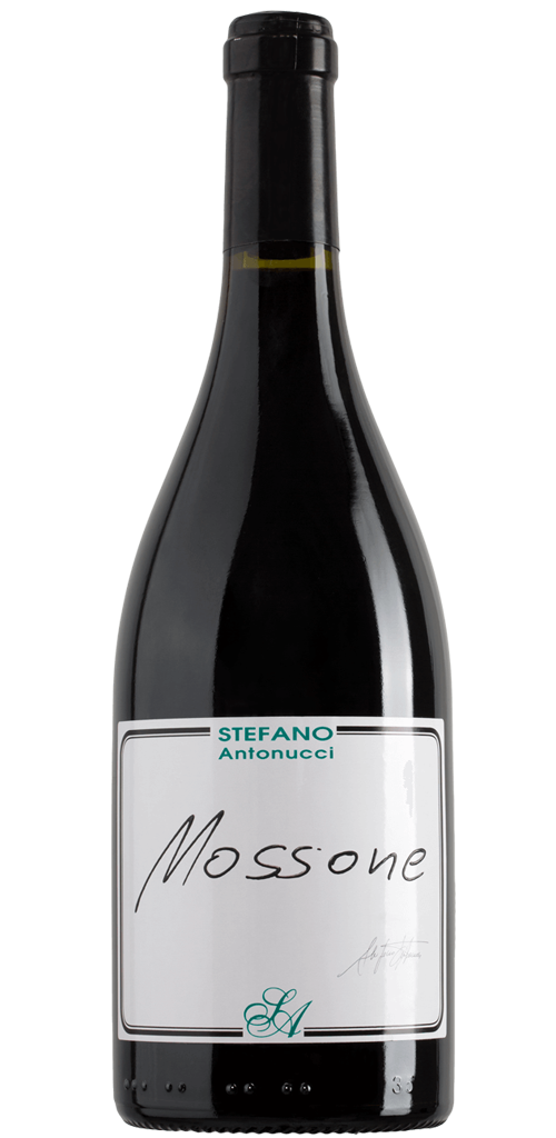 Azienda Santa Barbara - Stefano Antonucci Mossone 2021