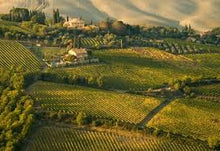 Afbeelding in Gallery-weergave laden, Casanova di Neri Brunello Tenuta Nuova DOCG 2013