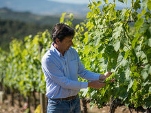 Afbeelding in Gallery-weergave laden, Antinori Magnum Pian delle Vigne Brunello di Montalcino 2015