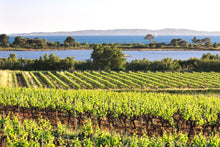 Afbeelding in Gallery-weergave laden, Château Sainte Marguerite Côtes de Provence Rosé 2021 BIO