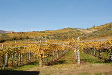 Afbeelding in Gallery-weergave laden, David Sterza Valpolicella Ripasso Classico Superiore 2019
