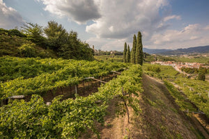 Begali Lorenzo - Amarone della Valpolicella Classico Ca' Bianca Riserva DOCG 2015