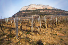 Afbeelding in Gallery-weergave laden, Domaine Cordier Père &amp; Fils Vieilles Vignes Pouilly-Fuissé AOC 2020