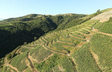 Afbeelding in Gallery-weergave laden, Domaine Courbis Saint-Joseph Les Royes Rouge 2019