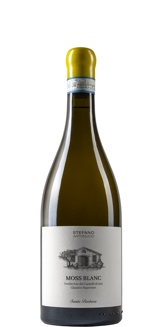 Azienda Santa Barbara - Stefano Antonucci Moss Blanc Verdicchio Castelli di Jesi Classico Superiore DOC 2020