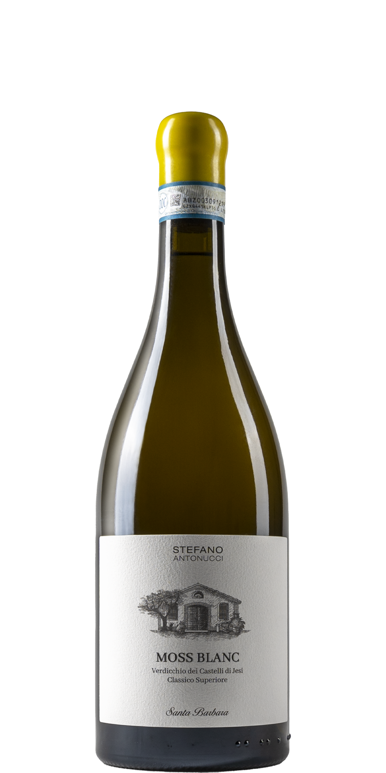 Azienda Santa Barbara - Stefano Antonucci Moss Blanc Verdicchio Castelli di Jesi Classico Superiore DOC 2021