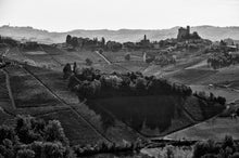 Afbeelding in Gallery-weergave laden, Oddero Langhe Nebbiolo DOC 2019