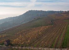 Afbeelding in Gallery-weergave laden, Reverdito Barolo Castagni DOCG 2016