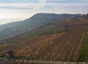 Reverdito Barolo Castagni DOCG 2016