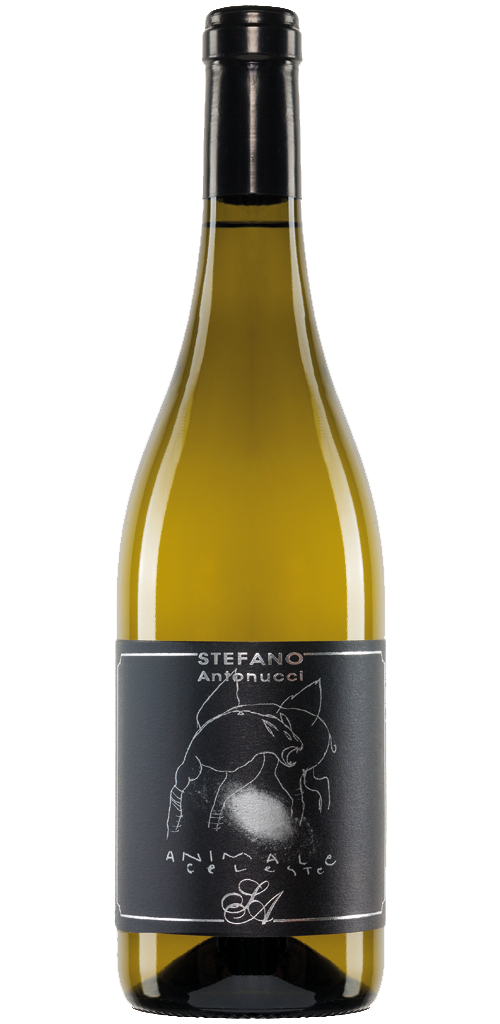 Azienda Santa Barbara - Stefano Antonucci Animale Celeste 2023